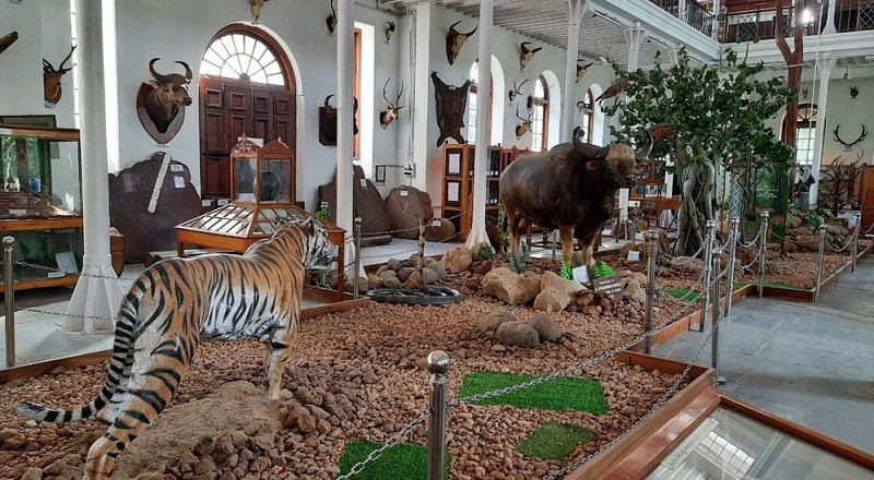Gass Forest Museum