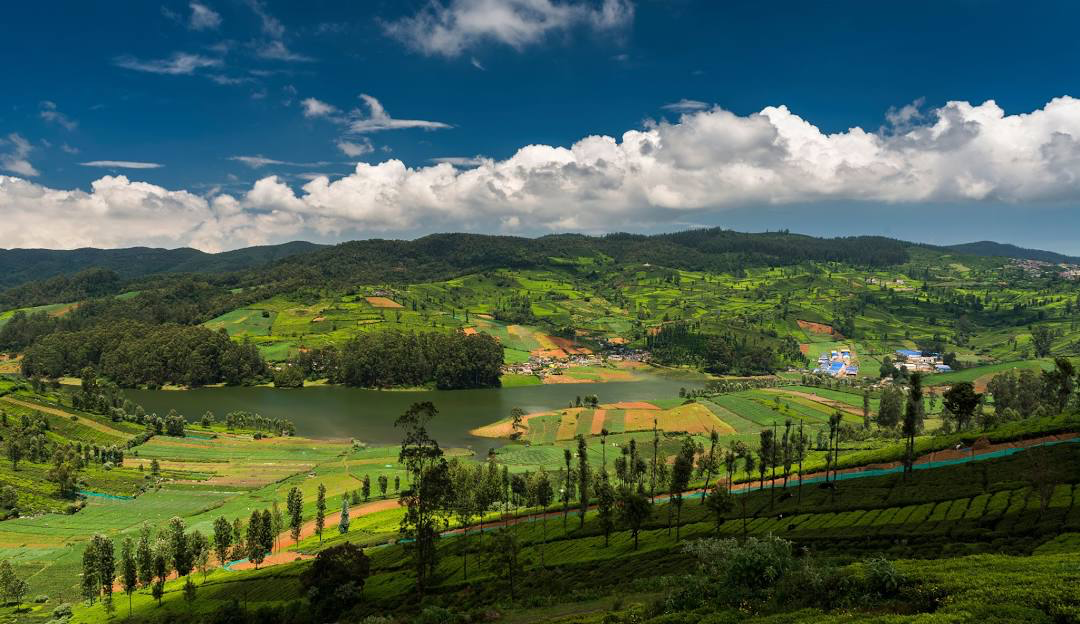 Ooty & Coonoor